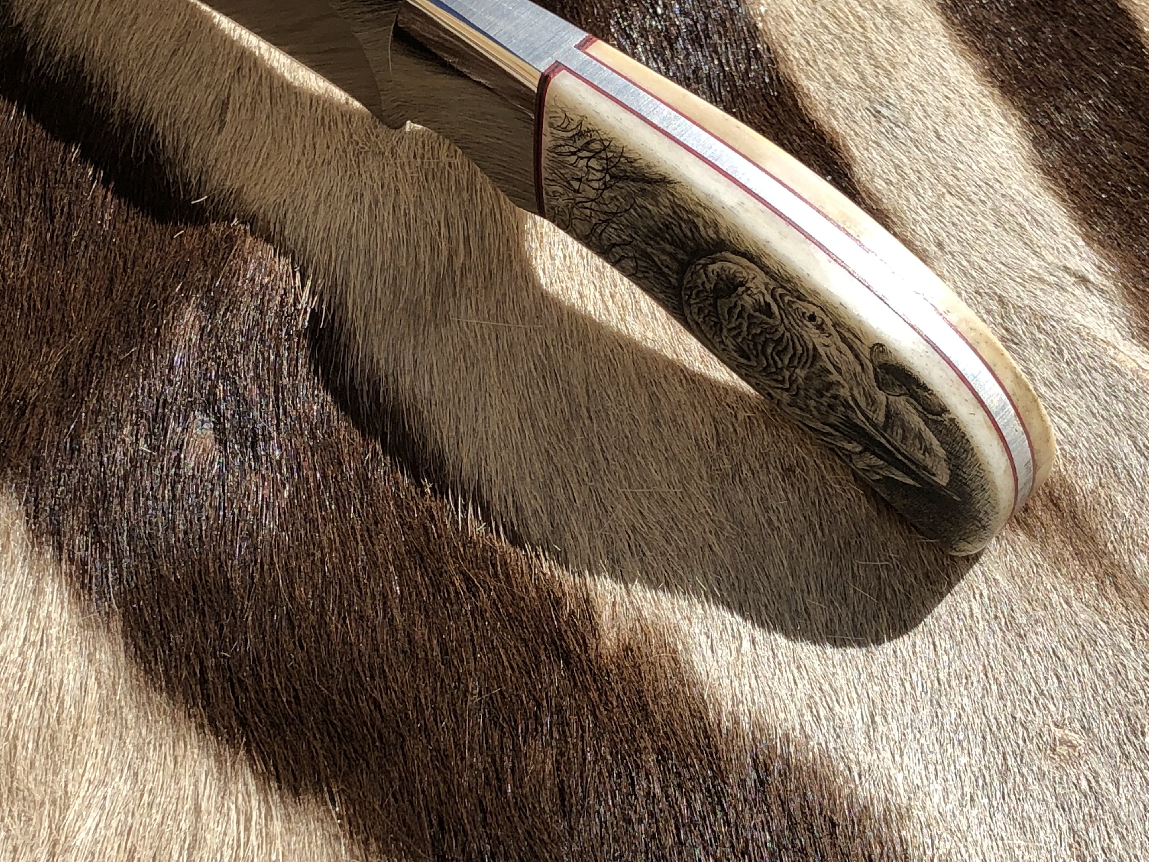Makalöst Knivhantverk! Rhino – en medium Utility Hunter knife - 8