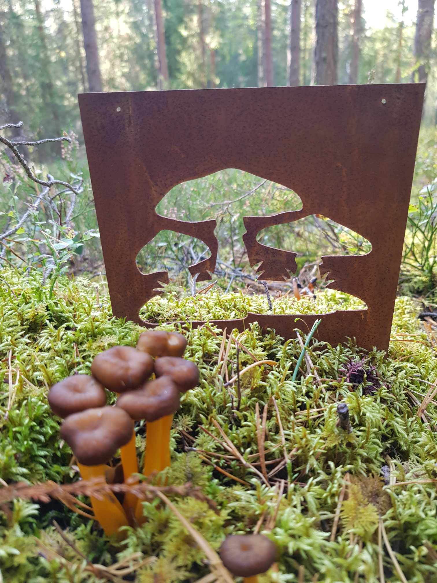 Trädgårdsskylt - Svampar