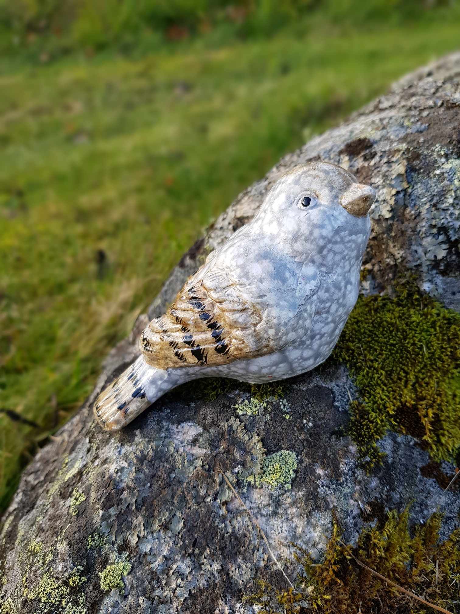 Fågel - 5