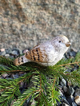 Fågel