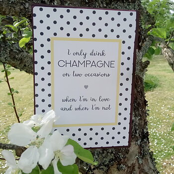 Skylt " I only drink champagne..."