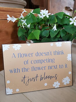 Skylt " A flower..."