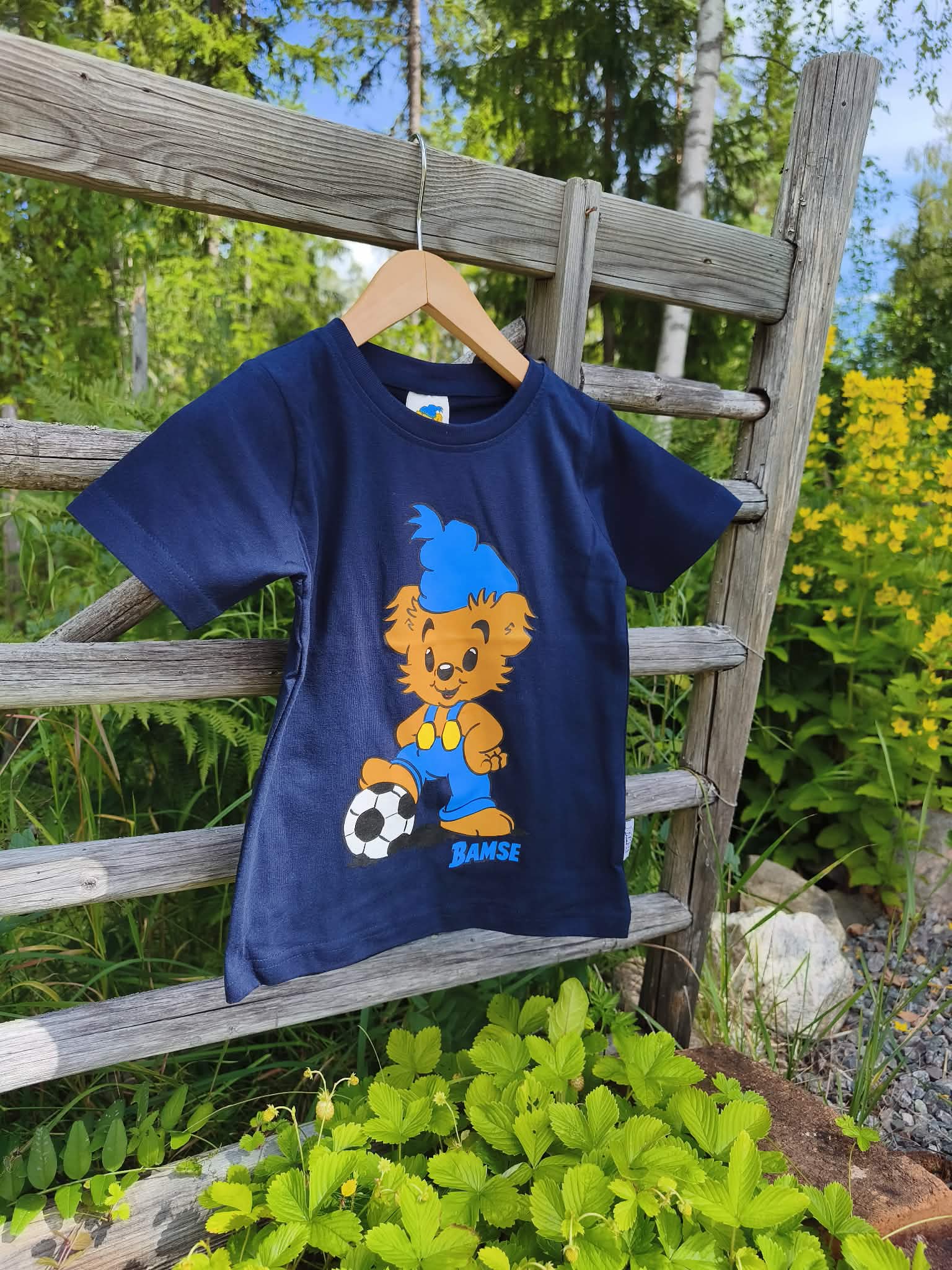  BAMSE 