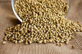 Coriander seeds org. 