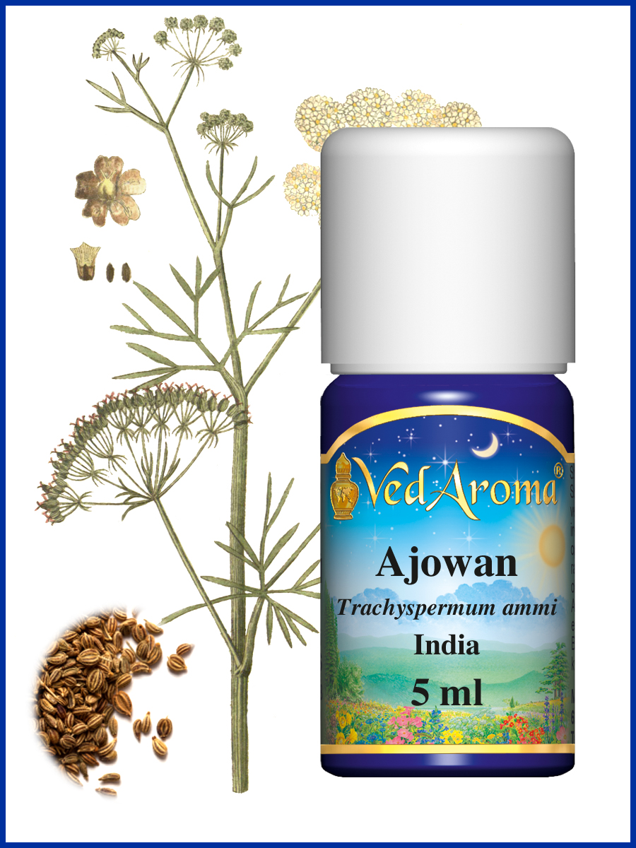 Ajwain eterisk olja 5 ml
