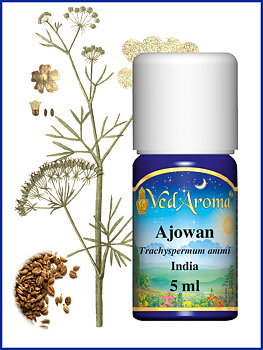Ajwain essential oil 5 ml