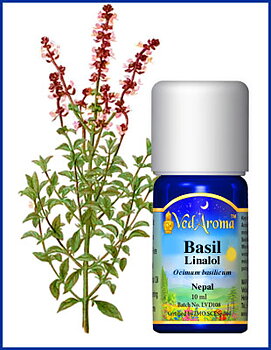 Basil essential oil org. 10 ml