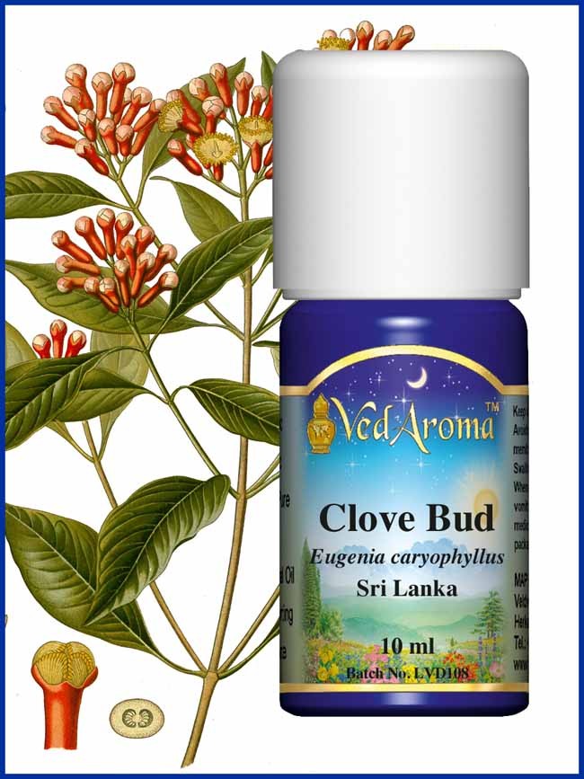 Kryddnejlika eterisk olja eko. 10 ml