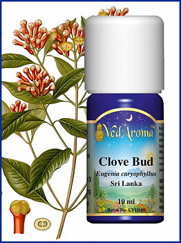 Clove essential oil org. 10 ml