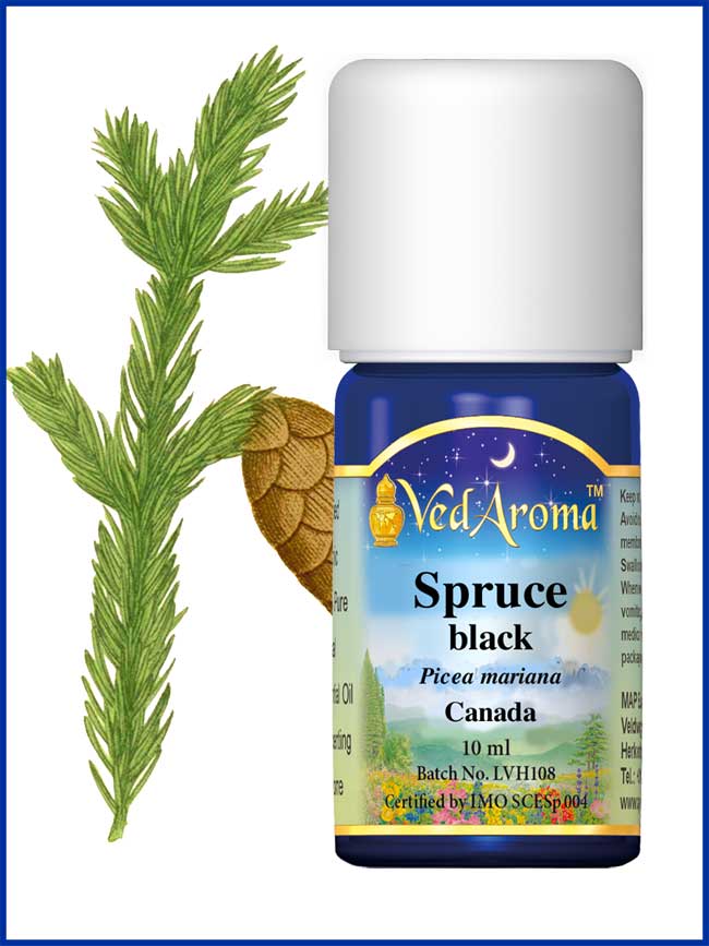 Svartgran (Picea mariana) eterisk olja eko. 10 ml