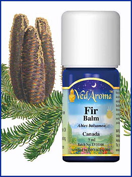 Fir, Balm Essential Oil org.