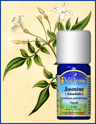 Jasmine 1ml org.