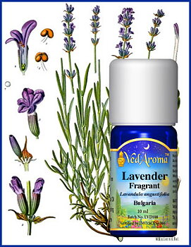 Lavender, fragrant/edel Essential Oil org.