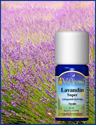 Lavandin, super eterisk olja eko. 10 ml