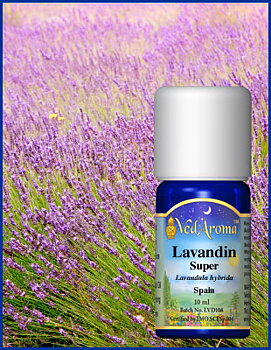 Lavandin org,