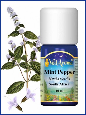 Mint- Peppermint org.