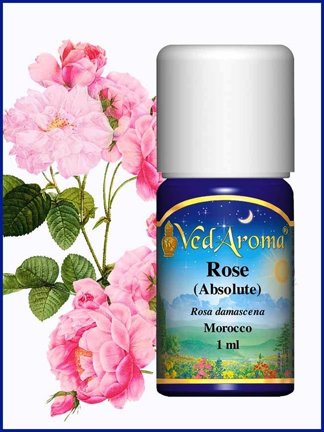 Rose (Absolute)