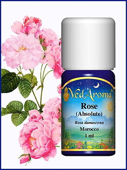 Rose (Absolute)