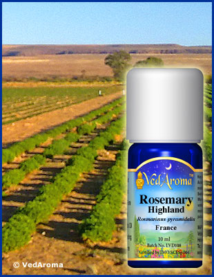 Rosmarin Highland eterisk olja eko. 7 ml