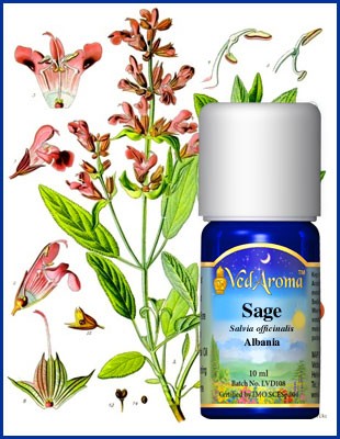 Salvia eterisk olja eko. 10 ml