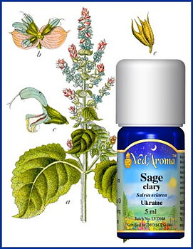 Muskatellsalvia eterisk olja eko. 10 ml