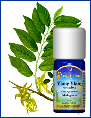 Ylang Ylang eterisk olja eko. 10 ml