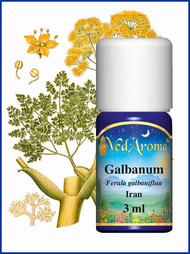 Galbanum eterisk olja eko. 3 ml
