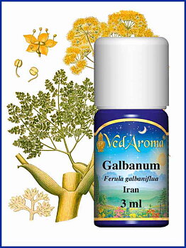 Galbanum 