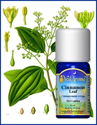 Kanel (löv) eterisk olja eko. 10 ml