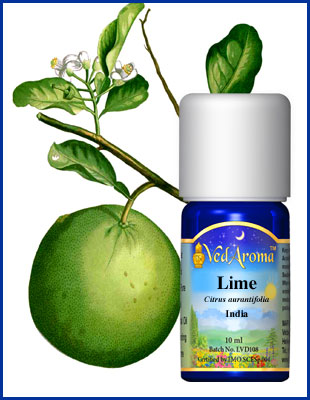Lime eterisk olja eko. 10ml