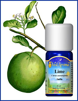 Lime