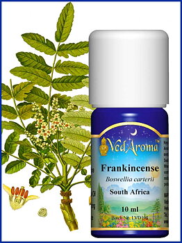 Frankincense essential oil org. 10 ml