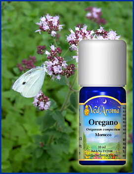 Oregano aroma oil org.