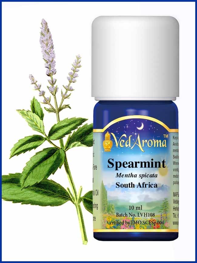 Mint Spearmint Essential Oil - Veda Lila