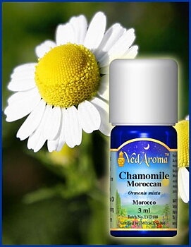 Chamomille Morocco essential oil org. 3 ml