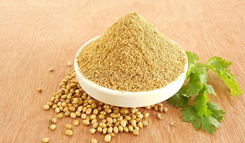 Coriander ground org.