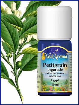 Citrus aurantium L. organic
