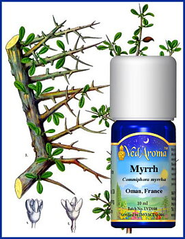 Myrrha aroma oil
