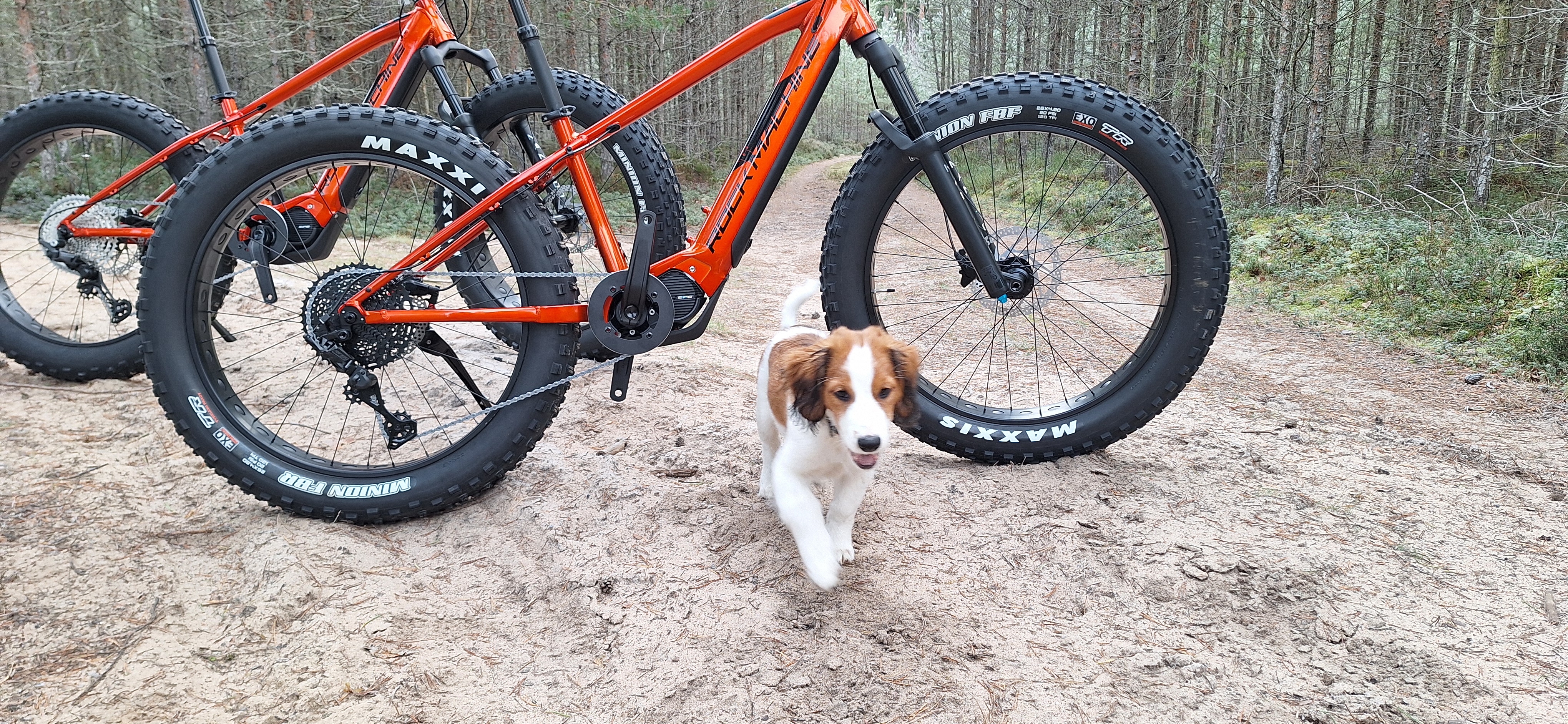El - fatbikes  Cykla lättare med breda däck