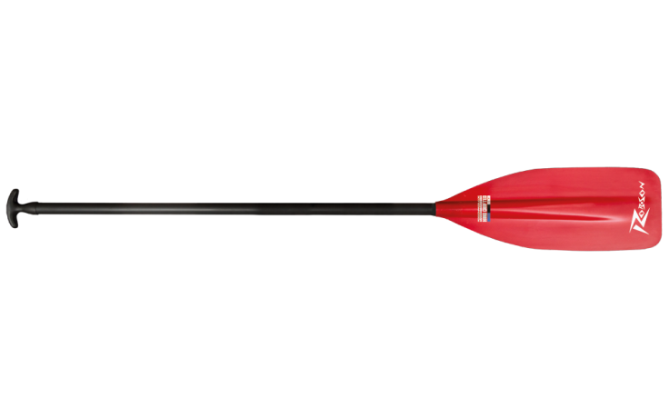 Kanot paddlor