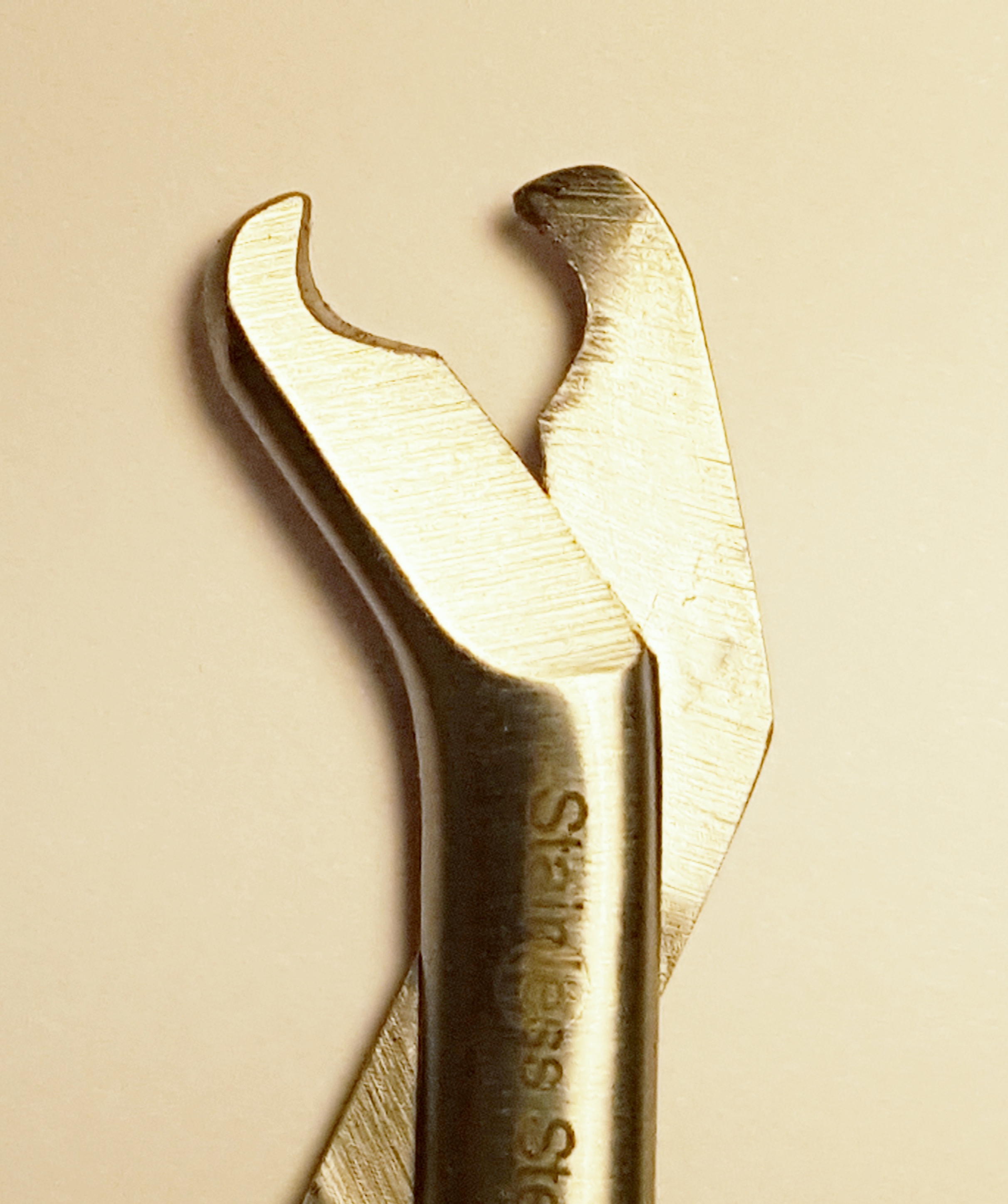 Klosax, 10 cm - 2