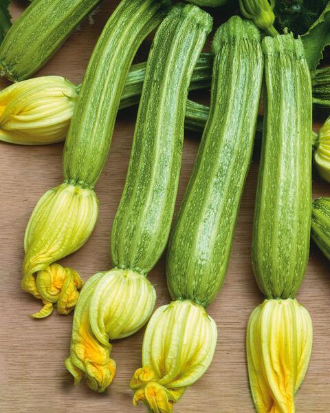 Squash Romanesco 10 frön,inkommande