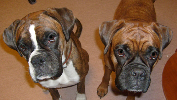 Januari - 4