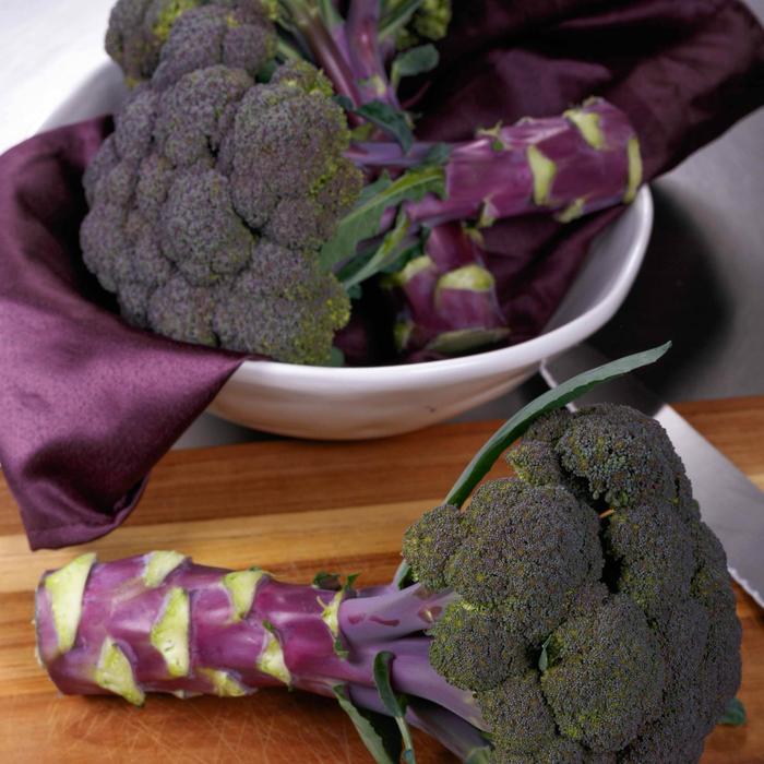 Sävar fröplant - Broccoli Purple Magic F1 10 frön