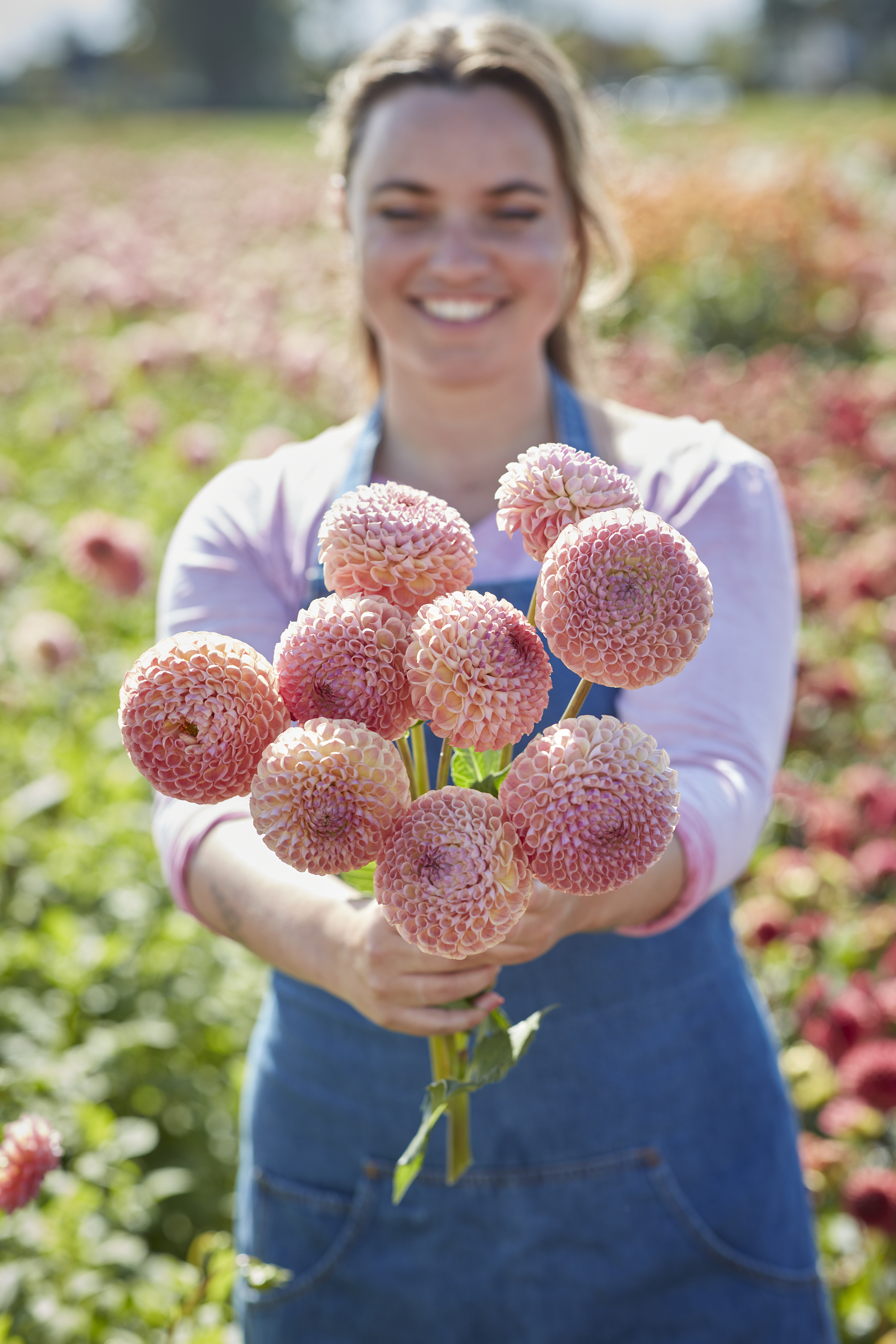 Dahlia knöl Ghislaine 