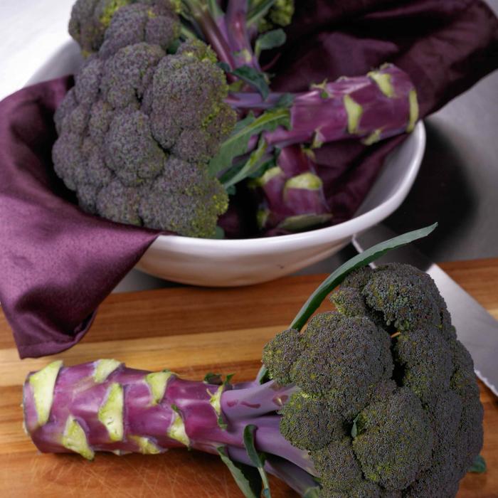 Broccoli Purple Magic F1 10 frön