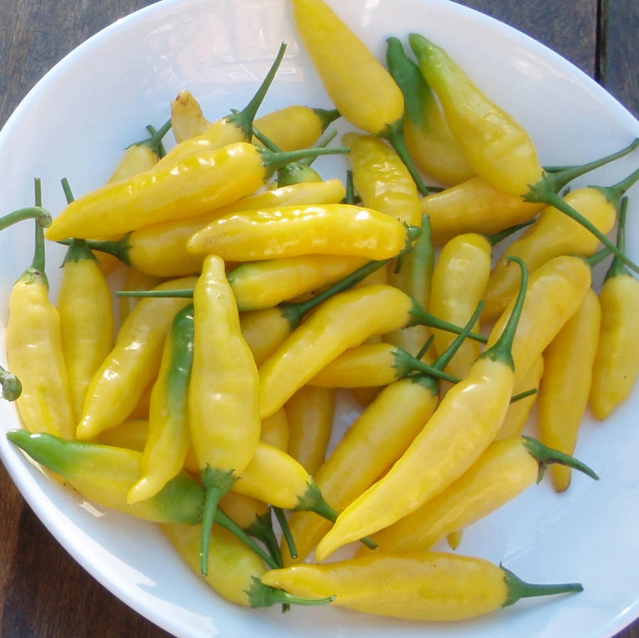 Chili "Citron" Lemondrop 6 frön