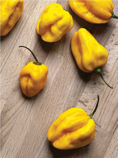Chili "Habanero Lemon" 5 frön