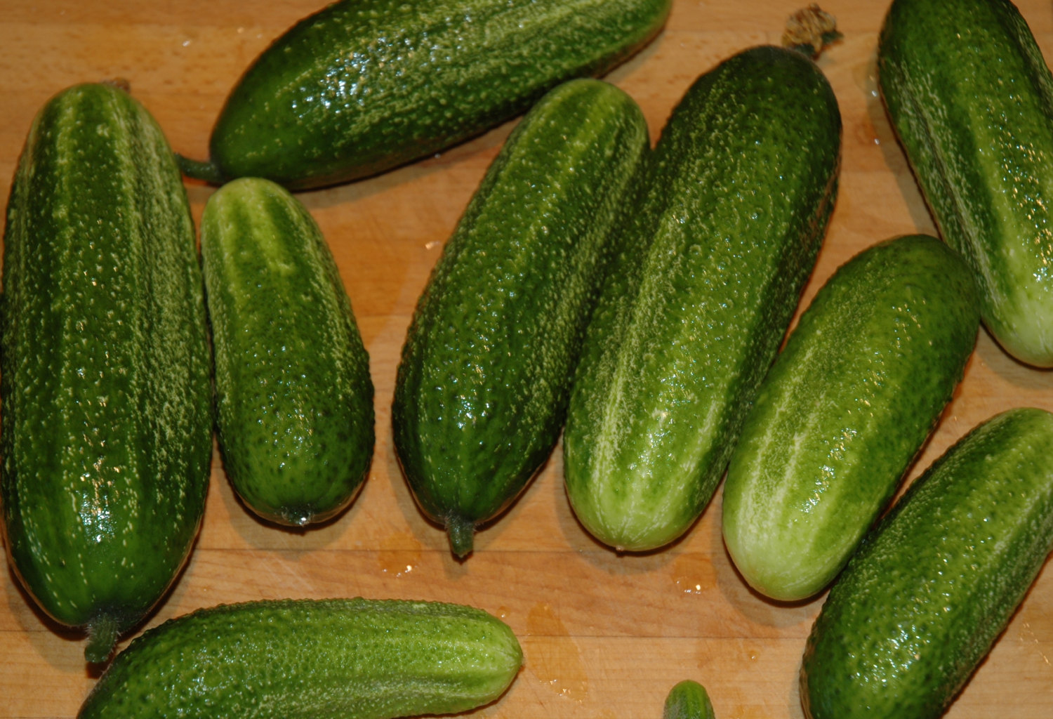 Västeråsgurka Hokus 8 frö