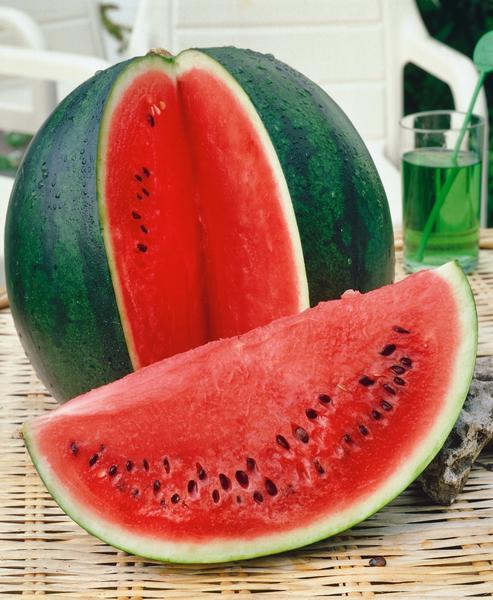 Melon (vatten) Lajko F1 5 frön